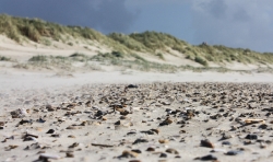 Dünnenlandschaft